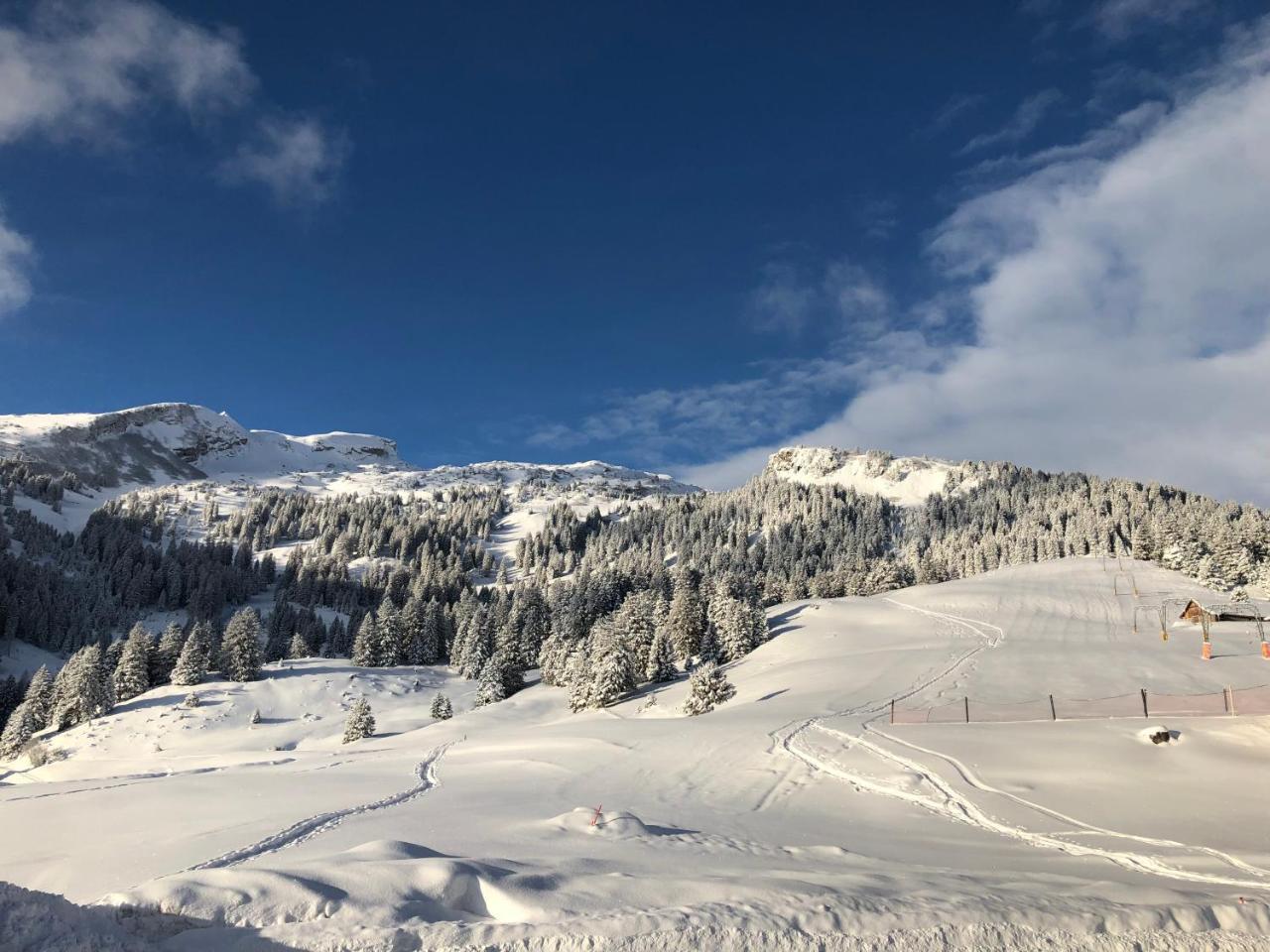 Berghaus Malbun Hotel Buchs Bagian luar foto